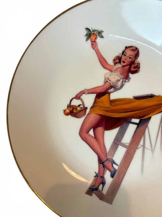Vintage Wandbord Appels Plukken | Het Maakhuys